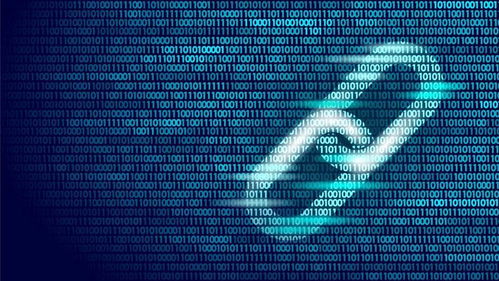 名聲被毀后，區(qū)塊鏈進入大學課堂 數(shù)字技術服務的價值重估與教育革新